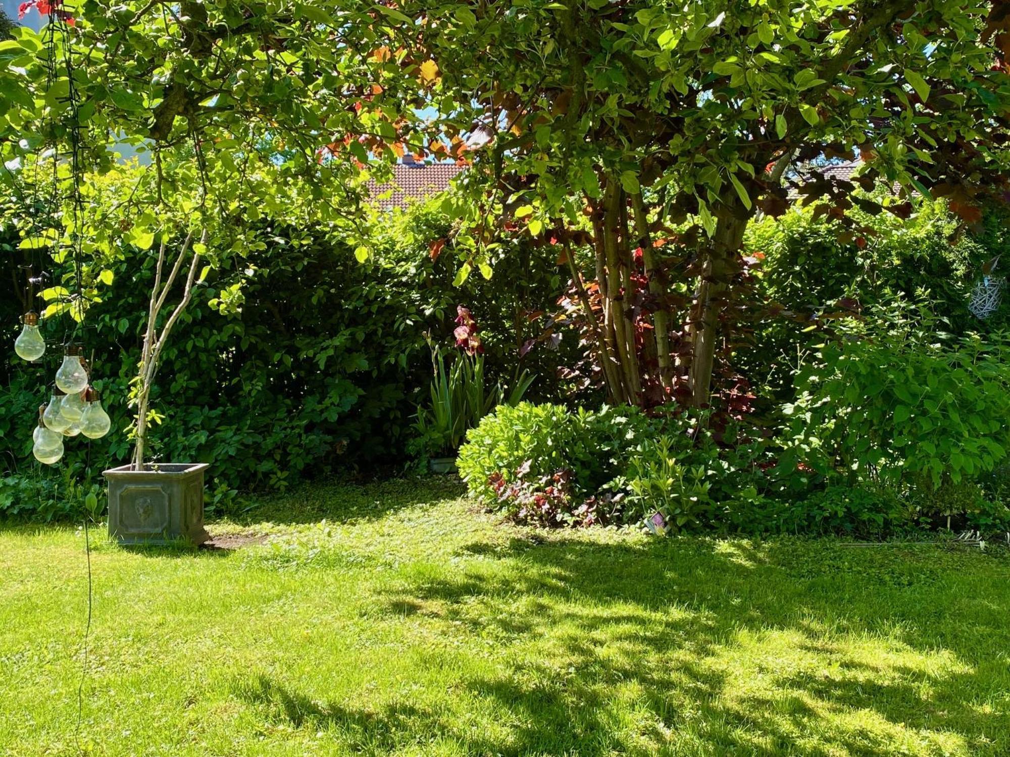 Apartament Auszeit-Ort Mit Wohlfuehl-Garantie Neu-Ulm Zewnętrze zdjęcie